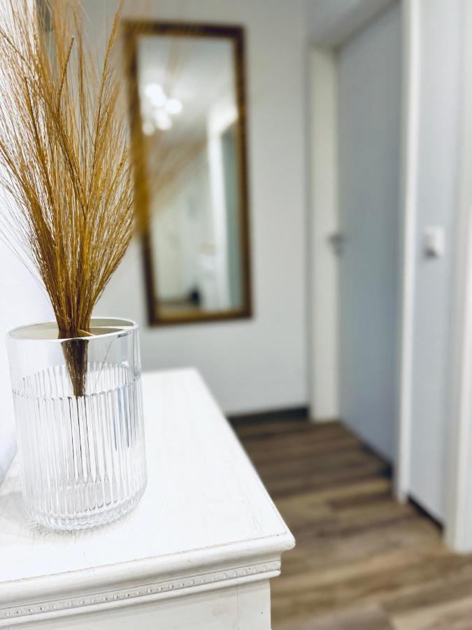 Modernes 3 Zimmer Apartment - Luise- Mit Wlan, Balkon Und Smart-Tv In City-Nahe! Erfurt Kültér fotó